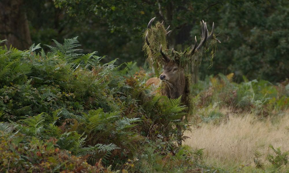 Фотография автора Kowalski Jaroslaw