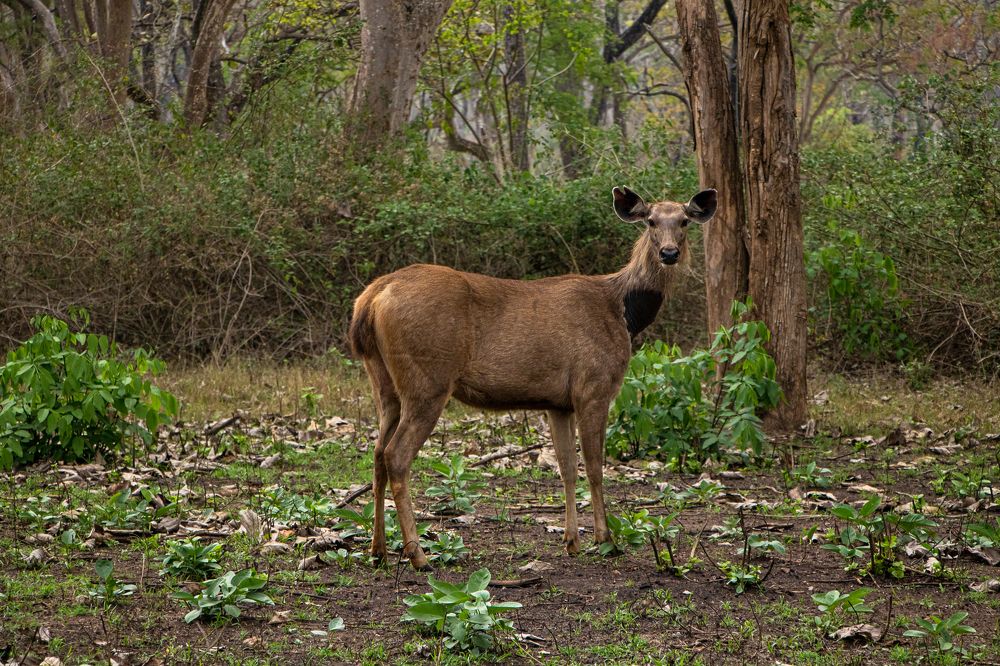 Photograph by Sam Moses
