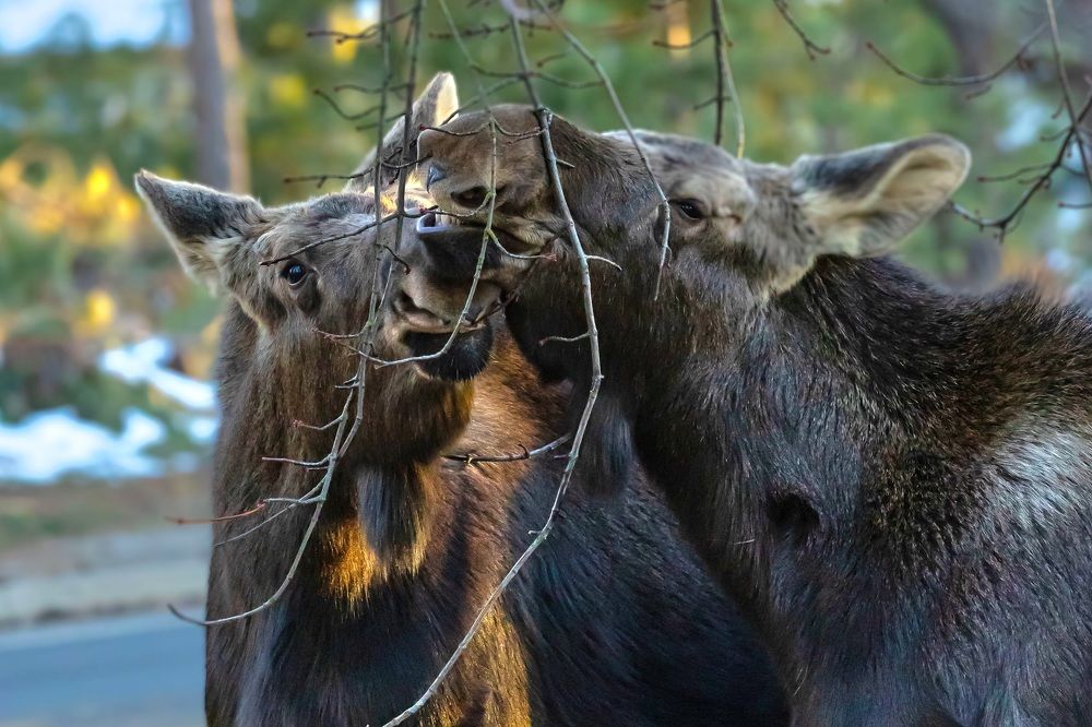 Photograph by Jim Murphy