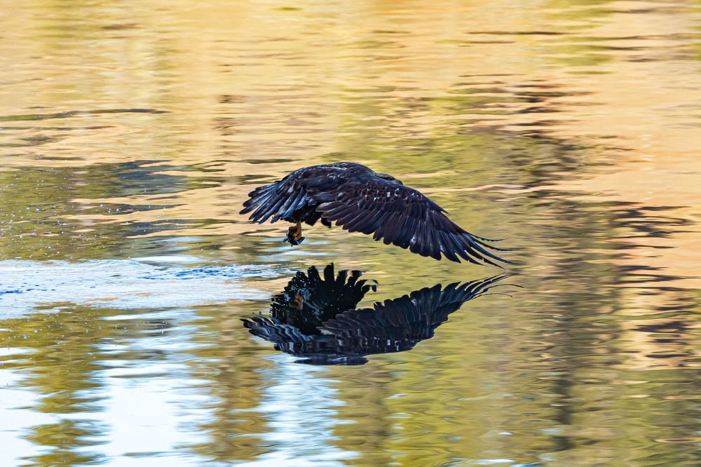 Photograph by Jim Murphy