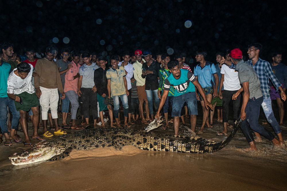 still humanity alive