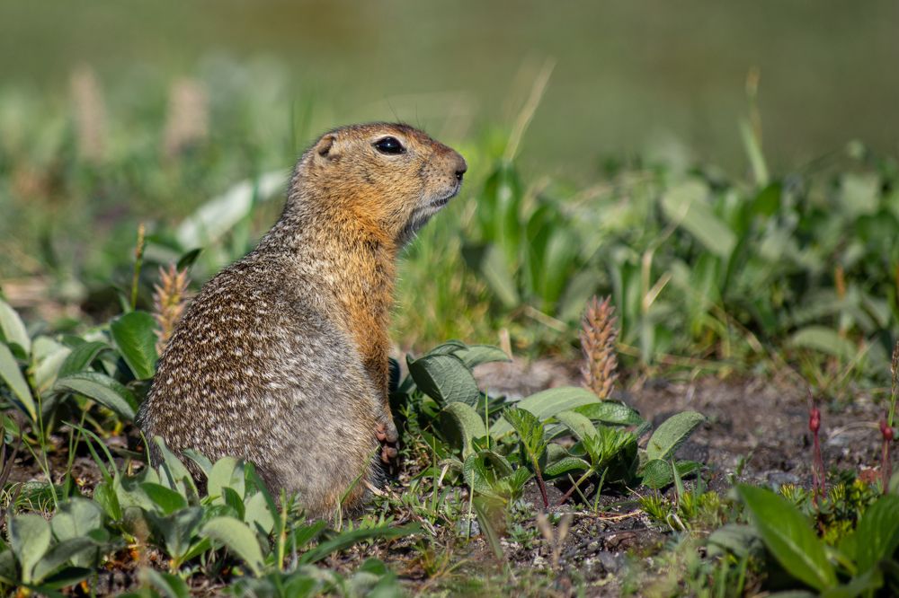 Photograph by Александра Марчак