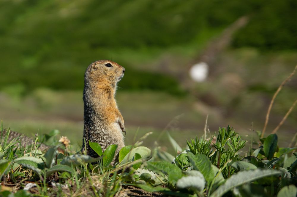 Photograph by Александра Марчак