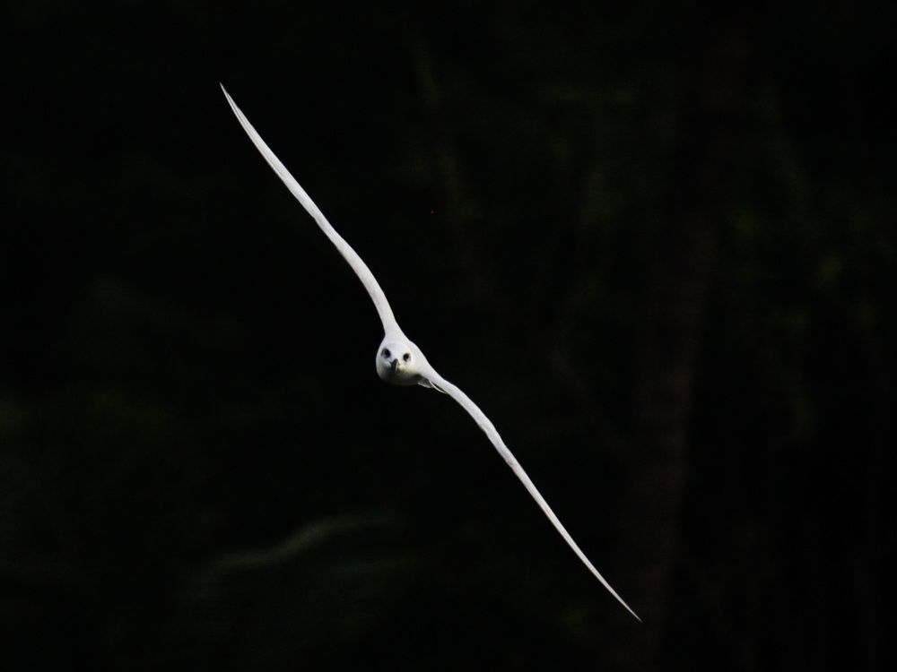 Photograph by Mathew Nishanth A