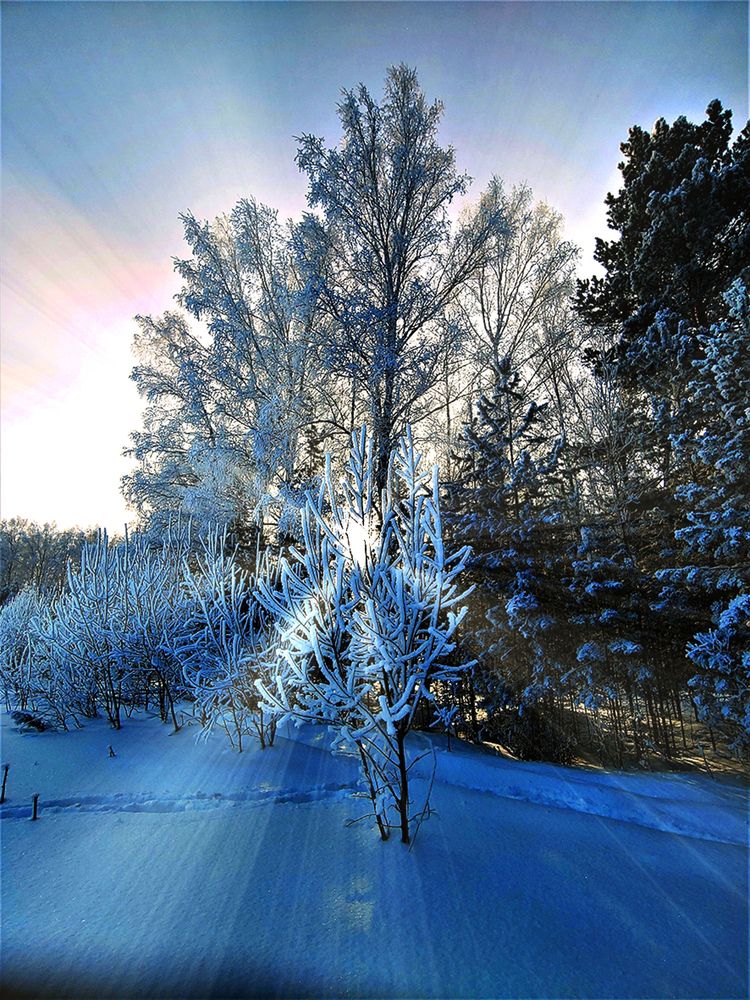 Photograph by Николай Останин