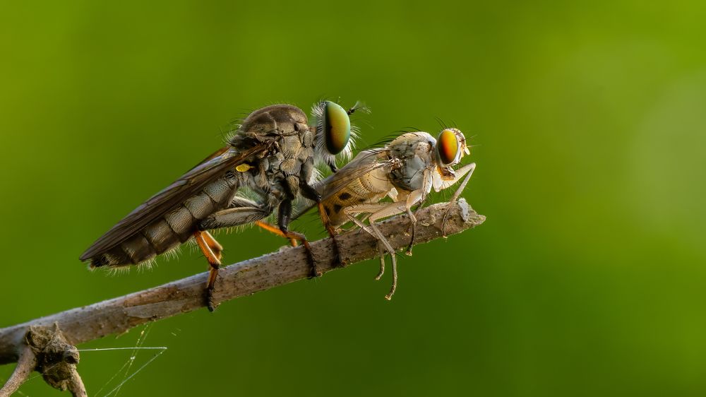 Photograph by VINOD KUMAR V K