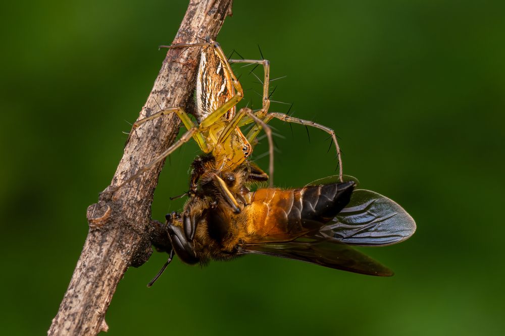 Photograph by VINOD KUMAR V K