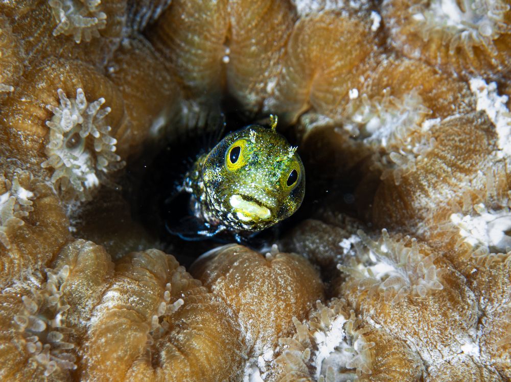 Photograph by Cecilia Muniz