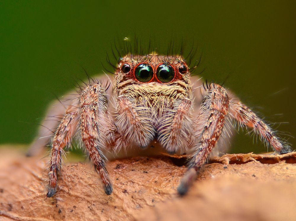 Photograph by Kasun Wickramasinghe