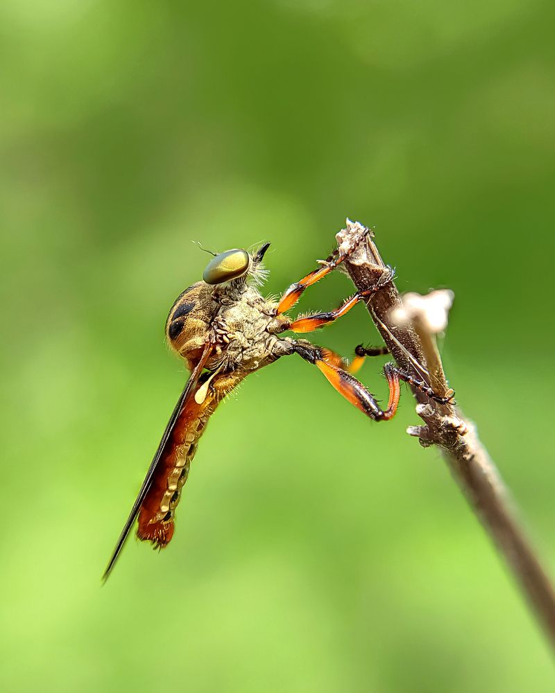 Keep Calm and Hunt On