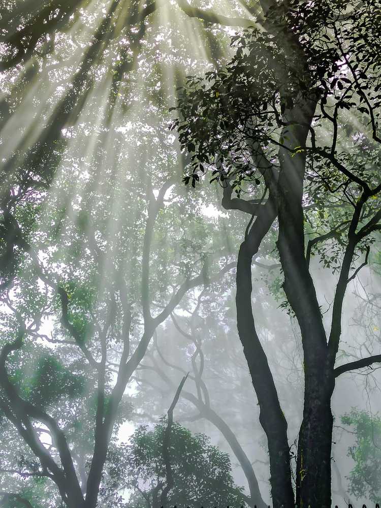 Photograph by ADARSH AJ