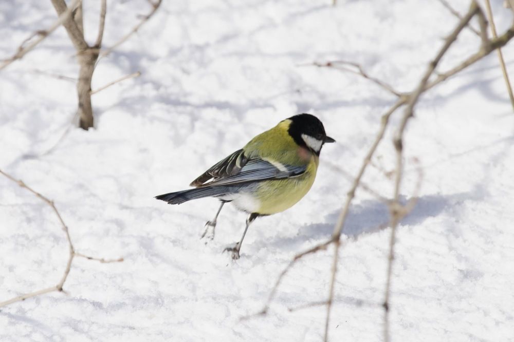 Photograph by Виктор Владимиров