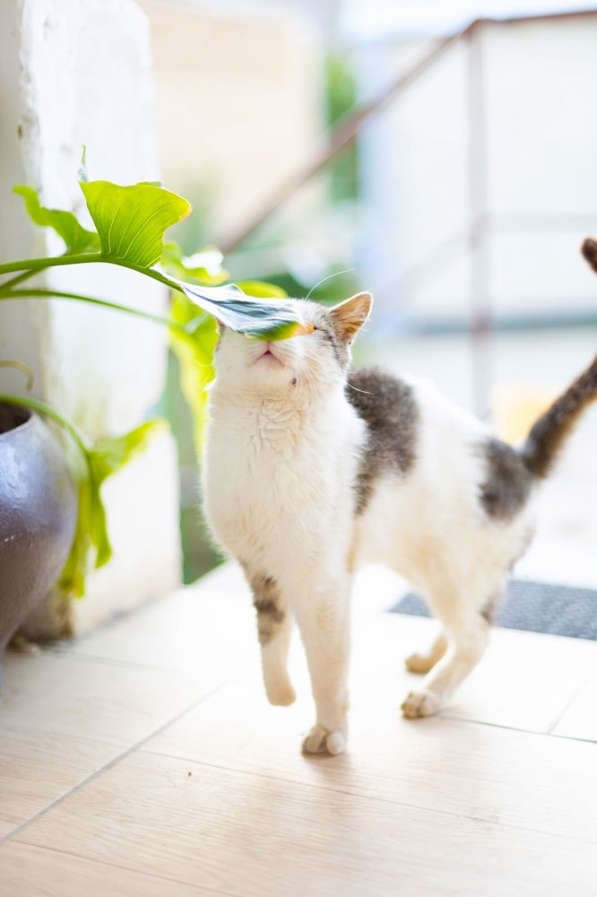 Photograph by Зарема