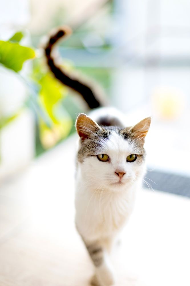 Photograph by Зарема