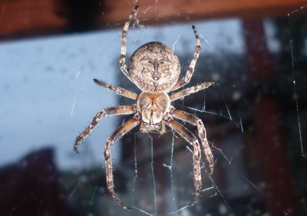 Photograph by Бехтерев Вадим