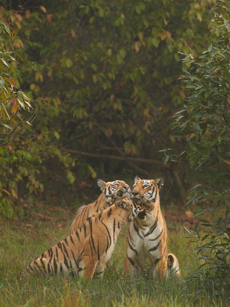 Photograph by Abhishek Singh