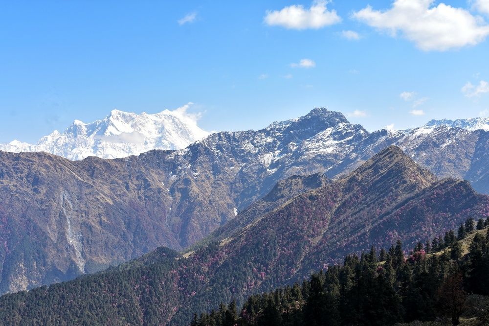 Photograph by Anirban Karmakar