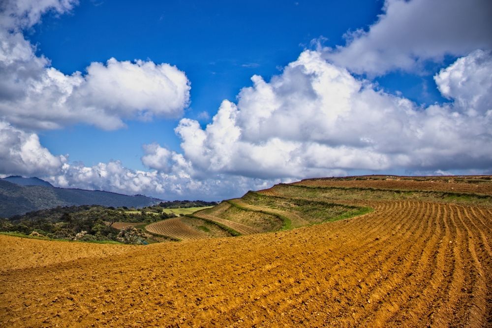 Photograph by Ladsiyan Mahalingam