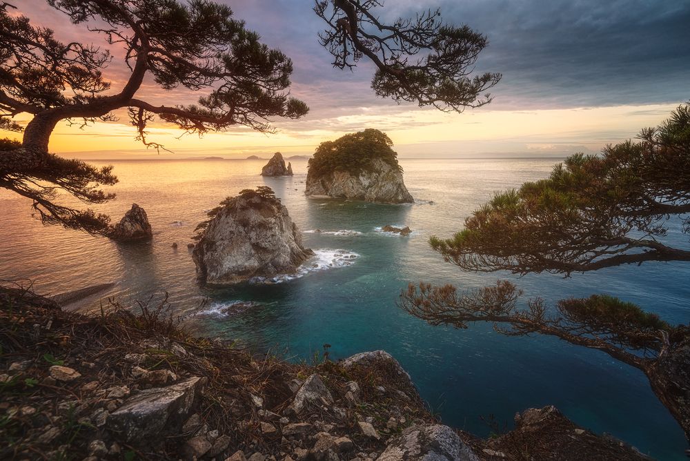 Фотография автора Дмитрий Подкопаев