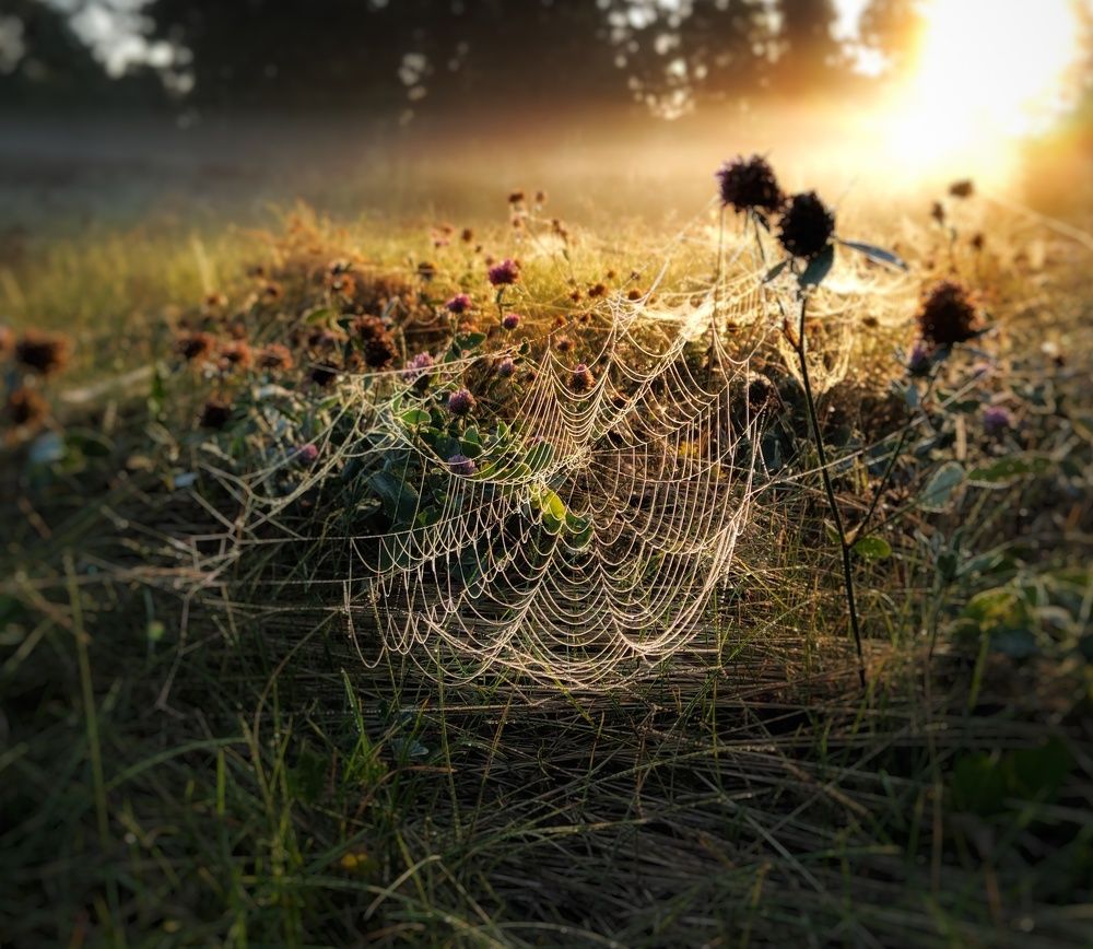 Photograph by Наталья Болотенков