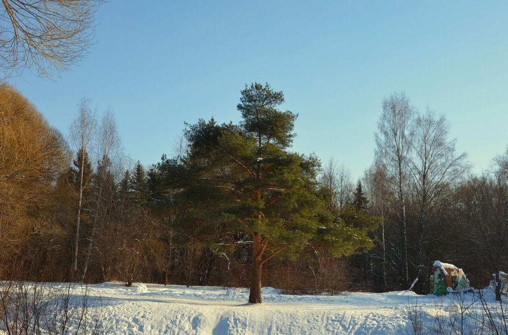 Photograph by Татьяна Червочкина