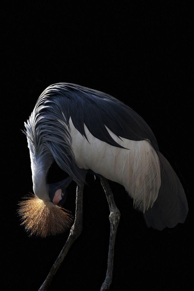 Photograph by Варвара Штерн