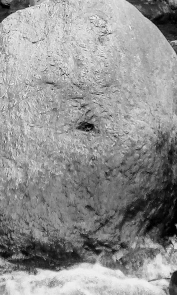 Photograph by Claudia Ramírez Salcedo