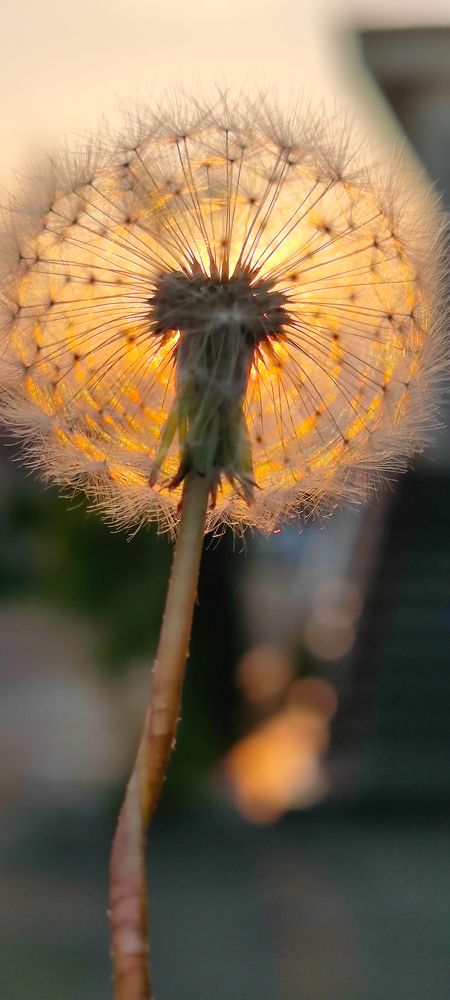 Photograph by Юрий Корсунцев