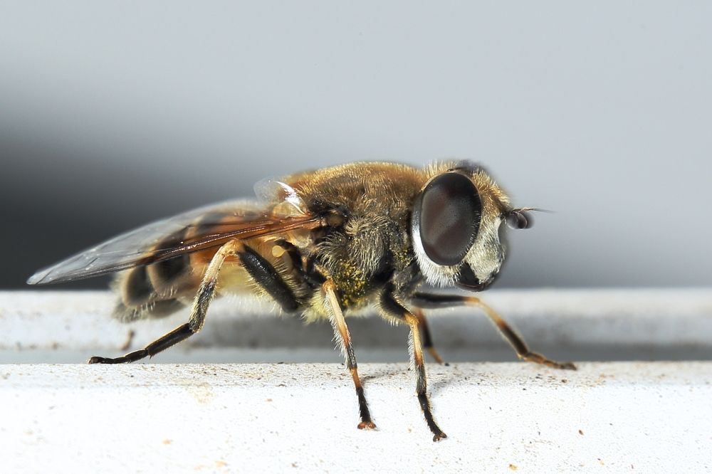 Photograph by Виктор Ноговицин