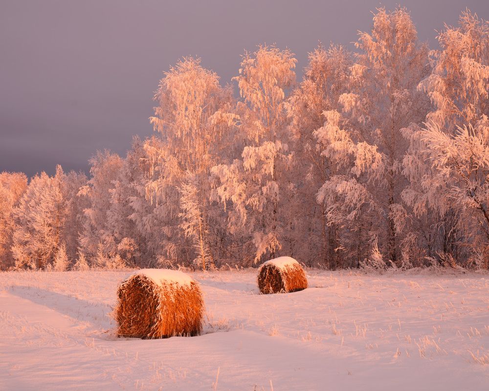 Photograph by Леонтьев Константин