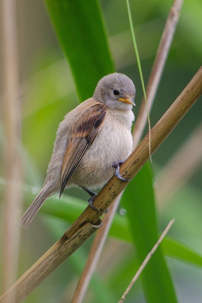 Photograph by Оксана Маховская