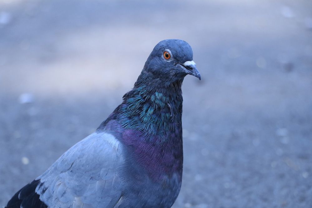 Photograph by Аида Тастенова