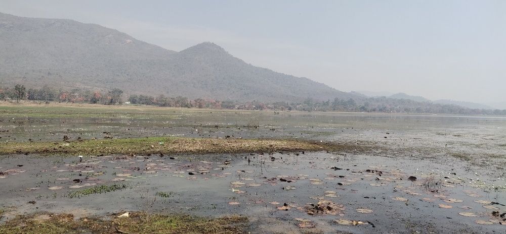 Photograph by SUBIR MUKHERJEE