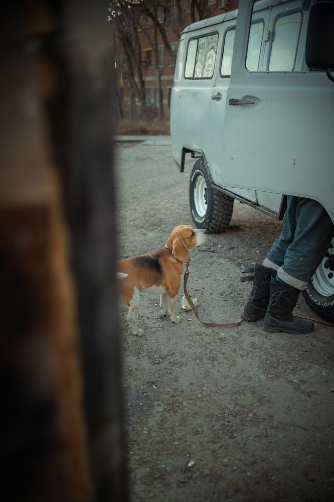 Фотография автора Романова Инга