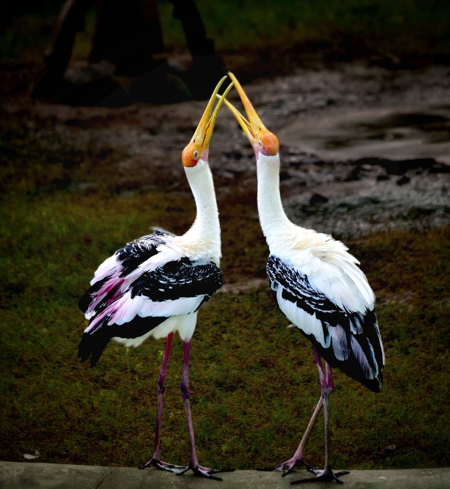 Photograph by Vishal Parmar