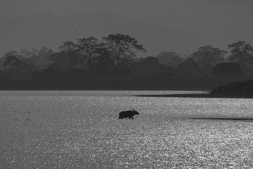 Photograph by Arpan Uzir