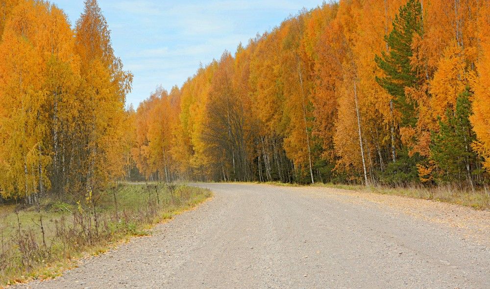 Photograph by Алексей Епишин