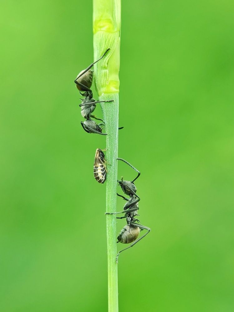 Photograph by royke kainde