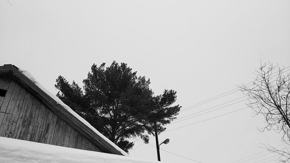 Photo #8923290
