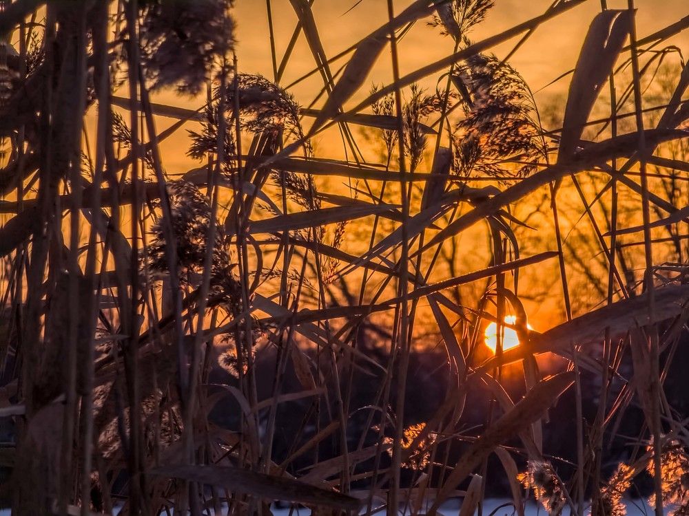 Photograph by mikhail goryachev