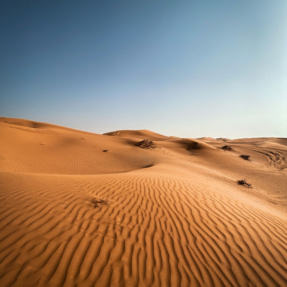 Photograph by Юлия