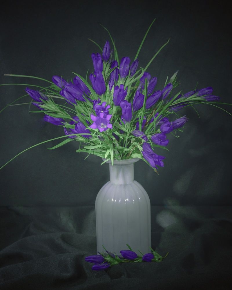 Сиреневая нежность.