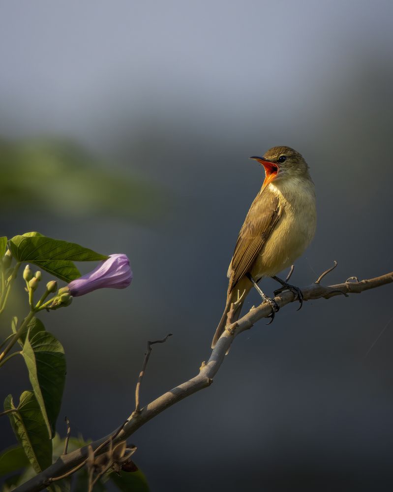 Photograph by Ajay Neelam