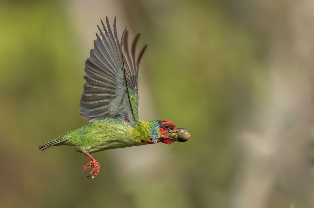 Photograph by Sushmeet Kathuria