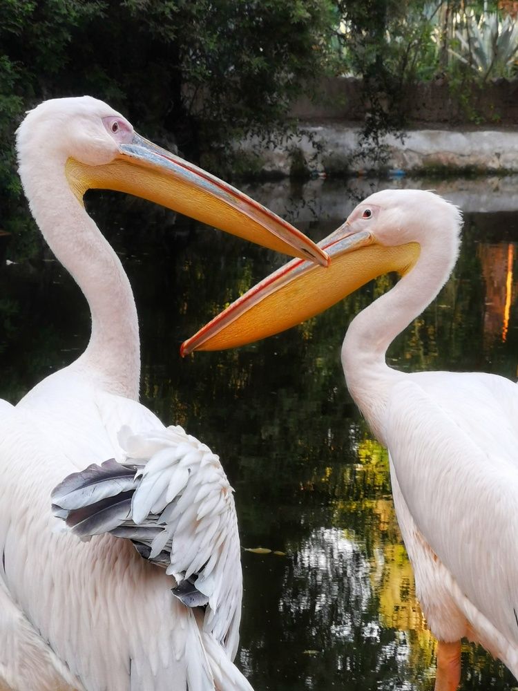 Photograph by Rana Khan