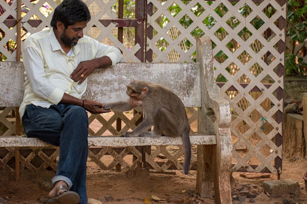 Фотография автора Sakthi Ganesh
