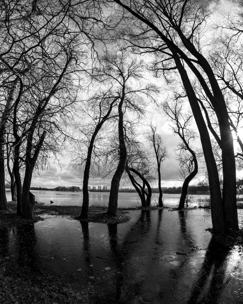 Водное зеркало