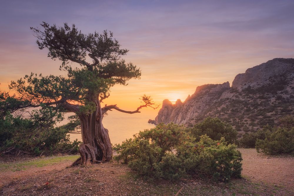 Photograph by Костенко Александр