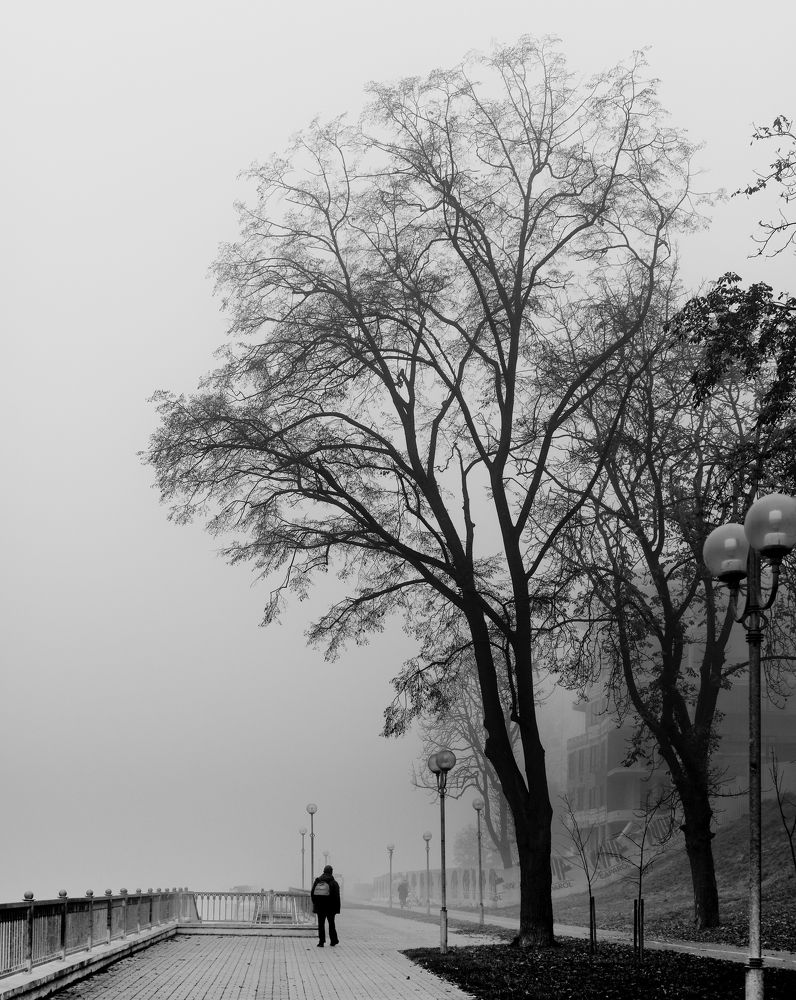 Photograph by Николай Савик