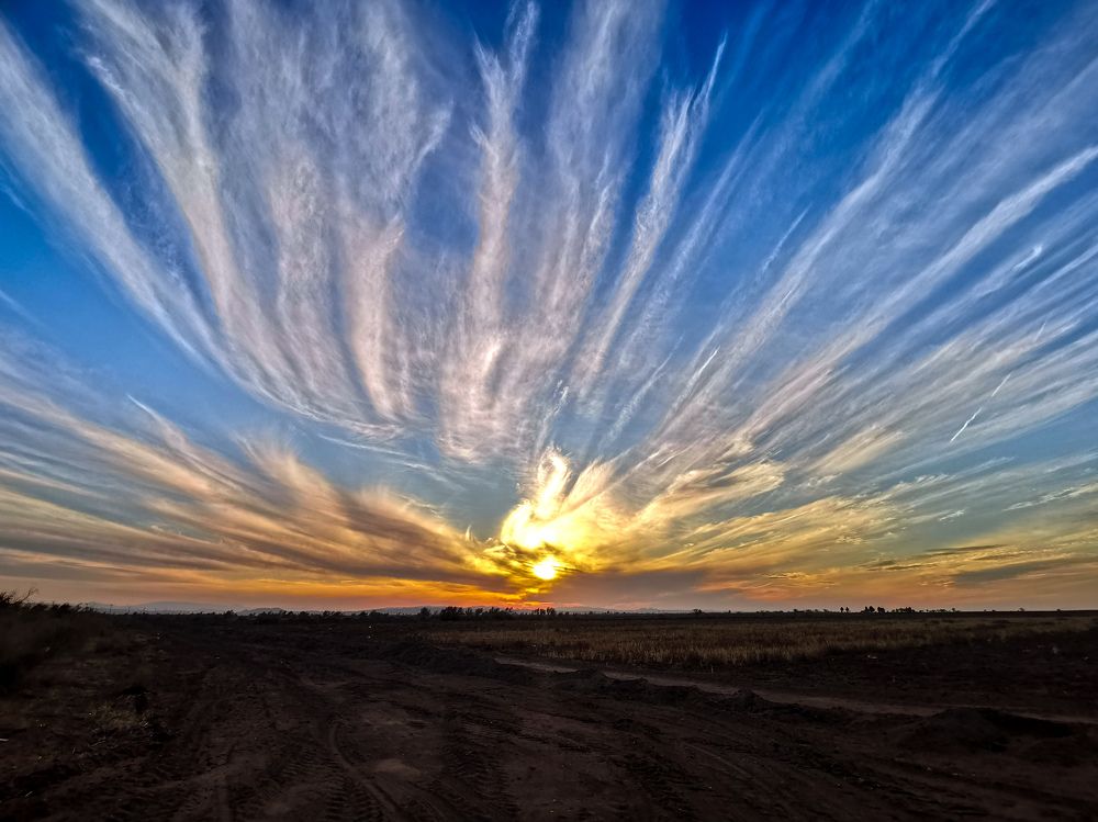 Фотография автора Mohamad reza Mohamad abadi